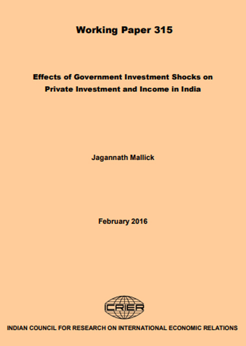 Effects of Government Investment Shocks on Private Investment and Income in India