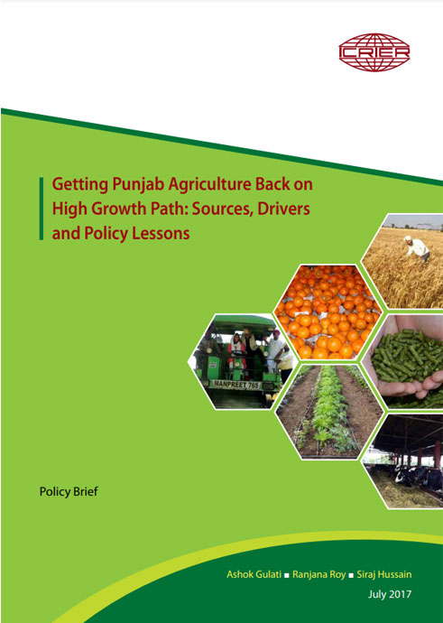 Getting Punjab Agriculture Back on High Growth Path: Sources, Drivers and Policy Lessons