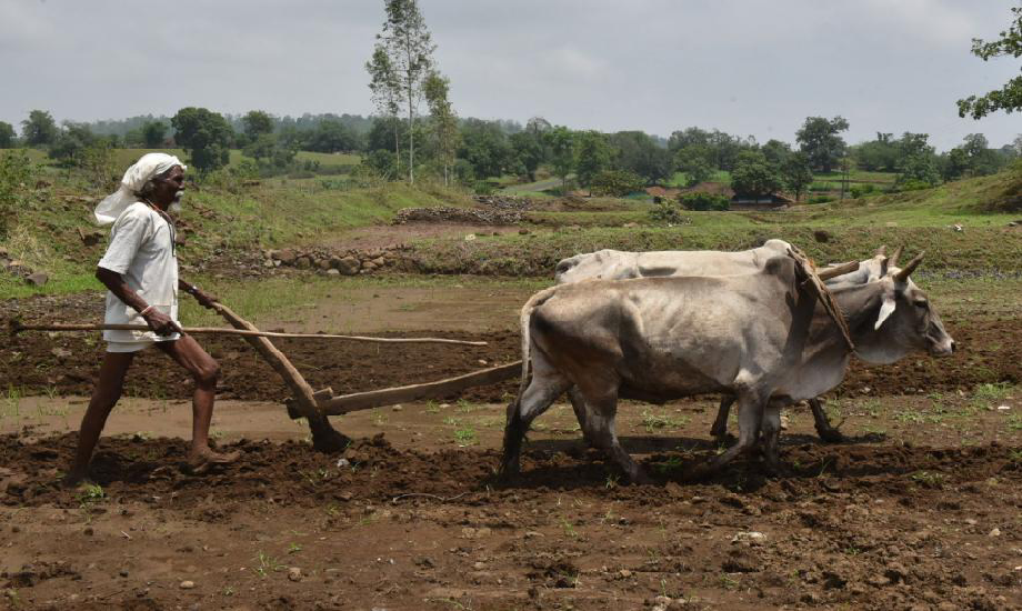 Doubling Farmers’ Income: An Unrealised Dream