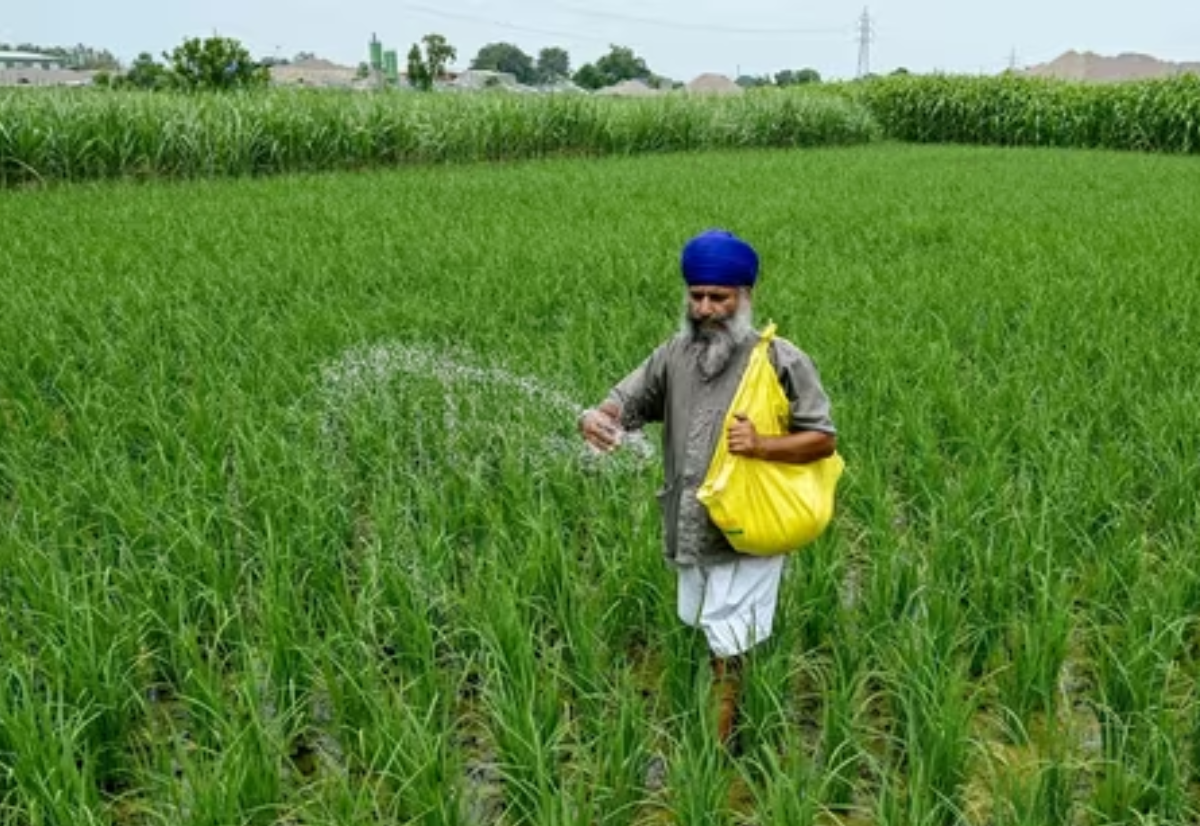 Saving Punjab and Haryana from ecological disaster